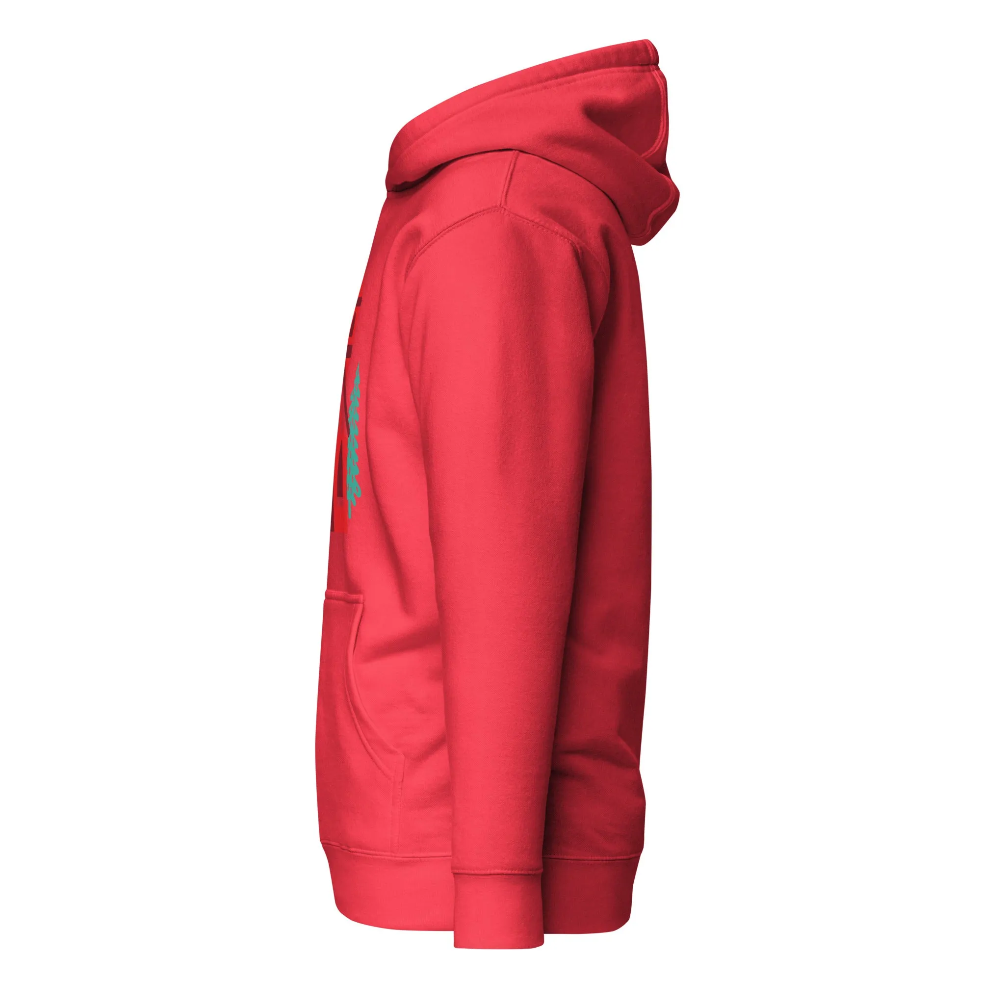 Christmas Hoodie (Glamourange Christmas Gifts - Hoodies for Christmas 0048)